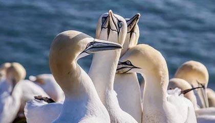 爱游戏下载_ 2025电竞产业报告：趋势与机遇并存，爱游戏电竞平台