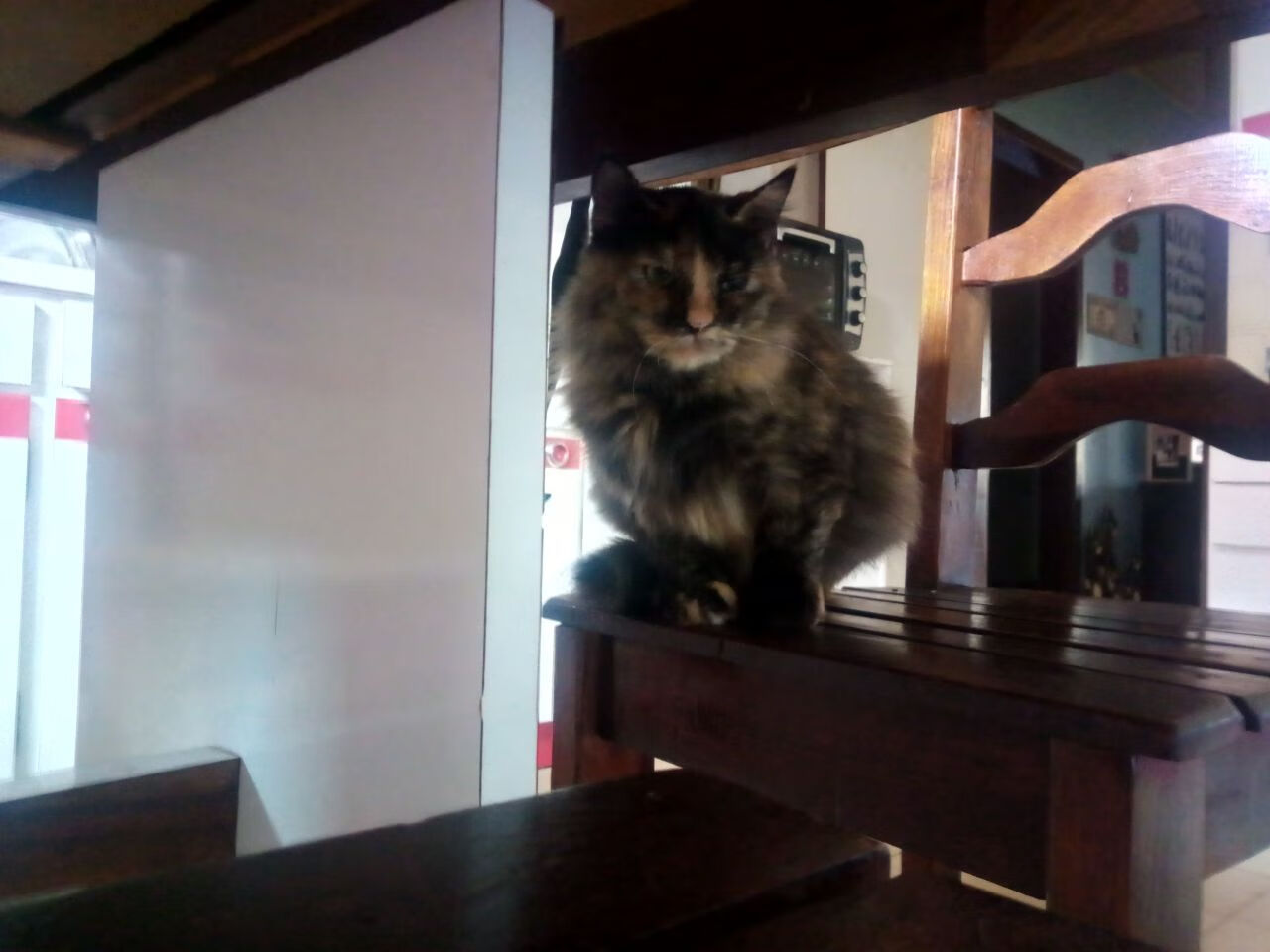 CBA赛事转播创新，增强观众沉浸体验，cba新赛季转播平台