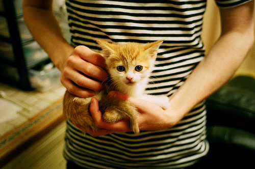 “逆转之战：经典逆袭瞬间震撼全场”，电影逆转