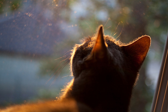 国际自行车赛中国站，中国车手实现突破性进展，2020年国际自行车比赛在哪举行