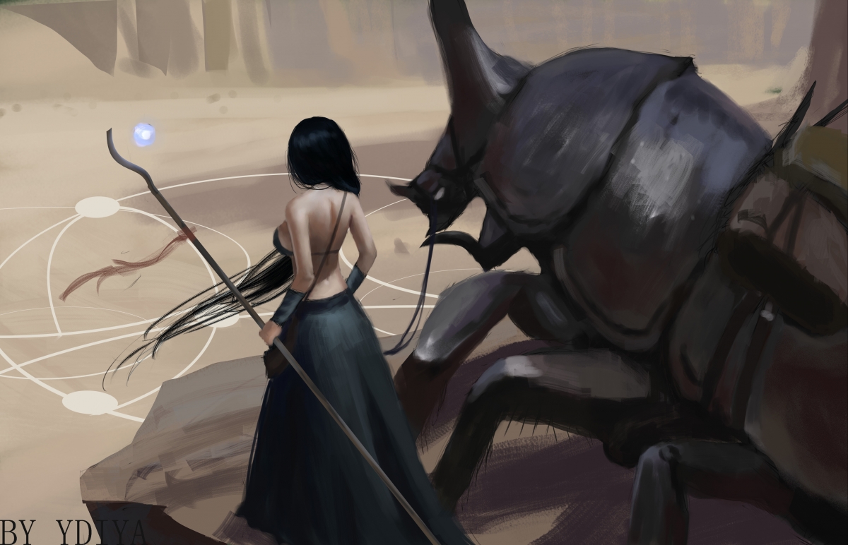 国际花样滑冰明星赛，优雅与力量的结合，国际花样滑冰锦标赛