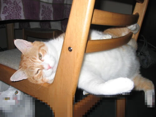 球迷自制“燃爆”视频：最感人、最激燃的比赛剪辑合集，球赛励志短视频