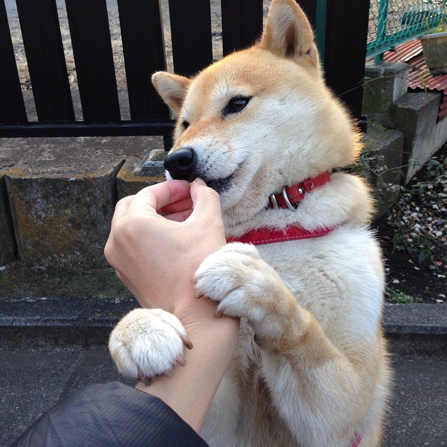 青年篮球联赛助推动力,培养未来篮球巨星,青年队篮球训练计划