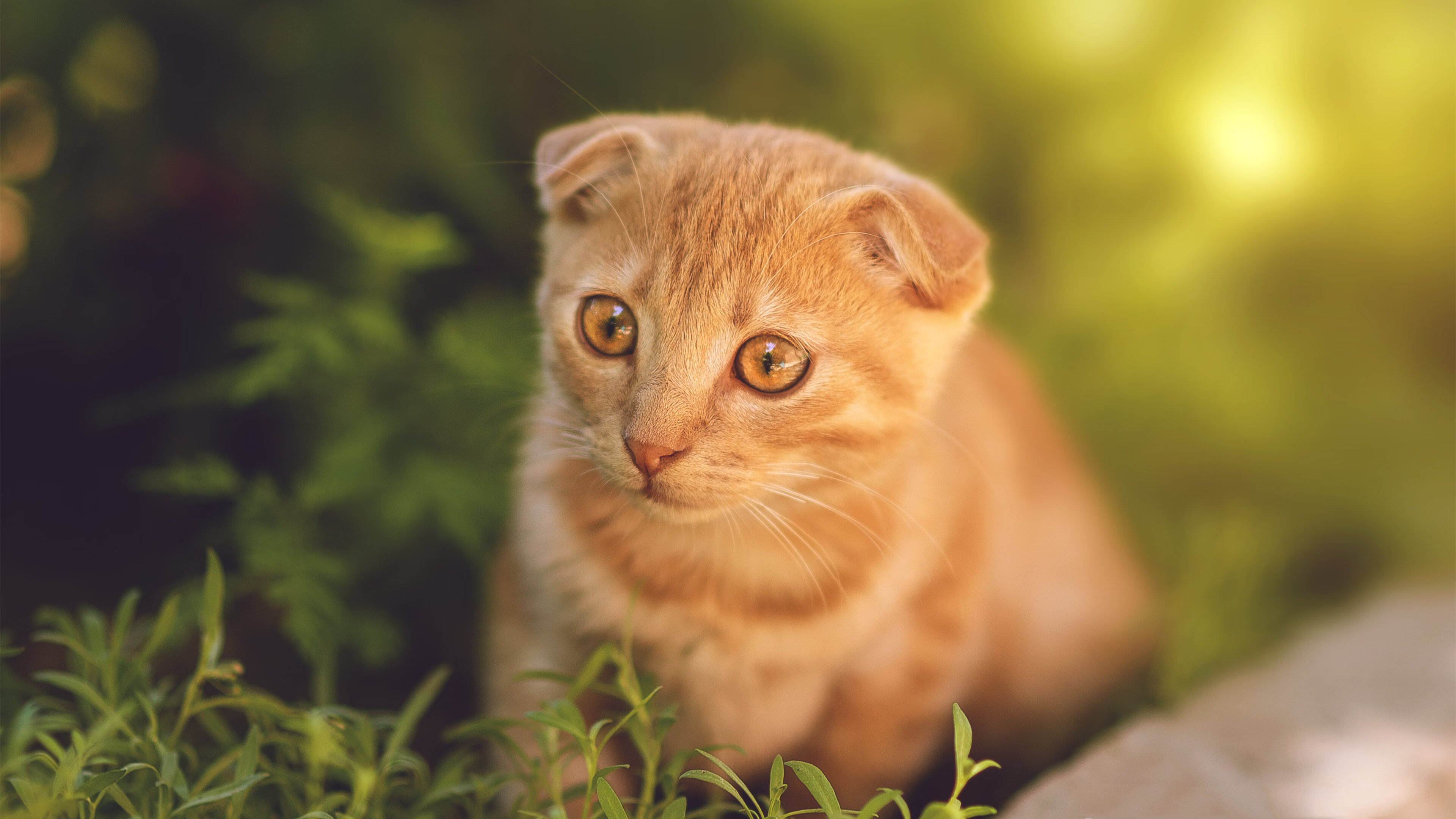 青年篮球训练营开启,培养未来的篮球之星,青年篮球俱乐部怎么报名