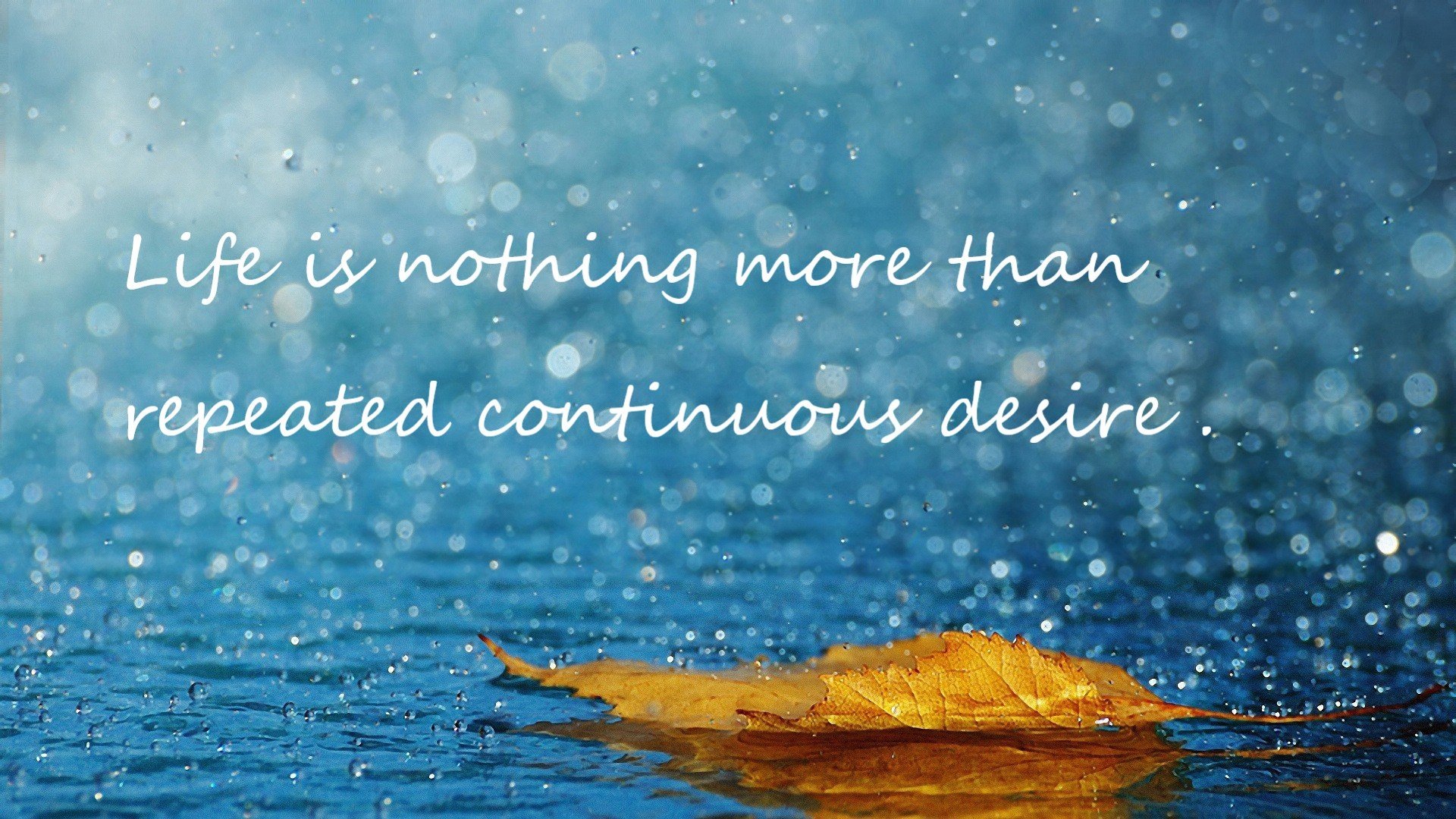 体育场上格局激烈,双方势均力敌拼尽全力,体育场场景