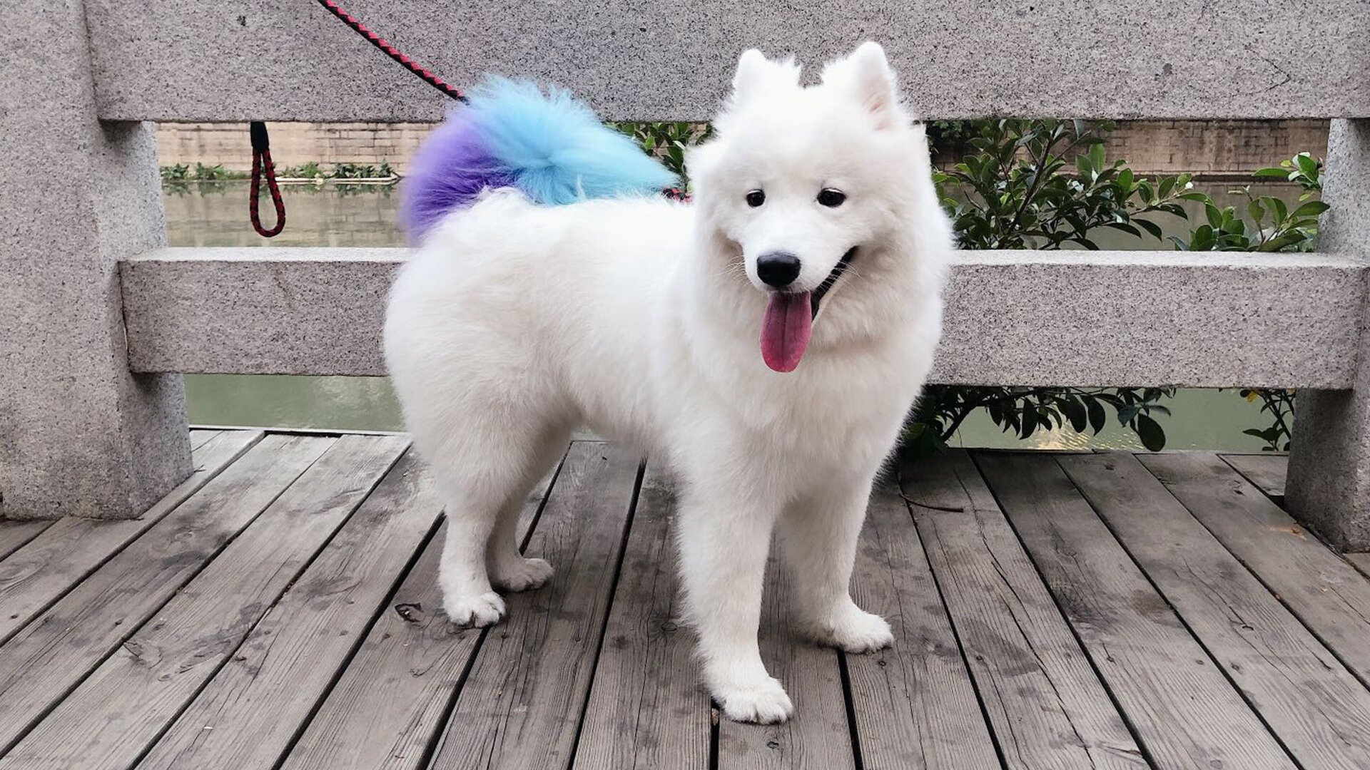 切尔西新援是否融入战术体系,切尔西引援禁令