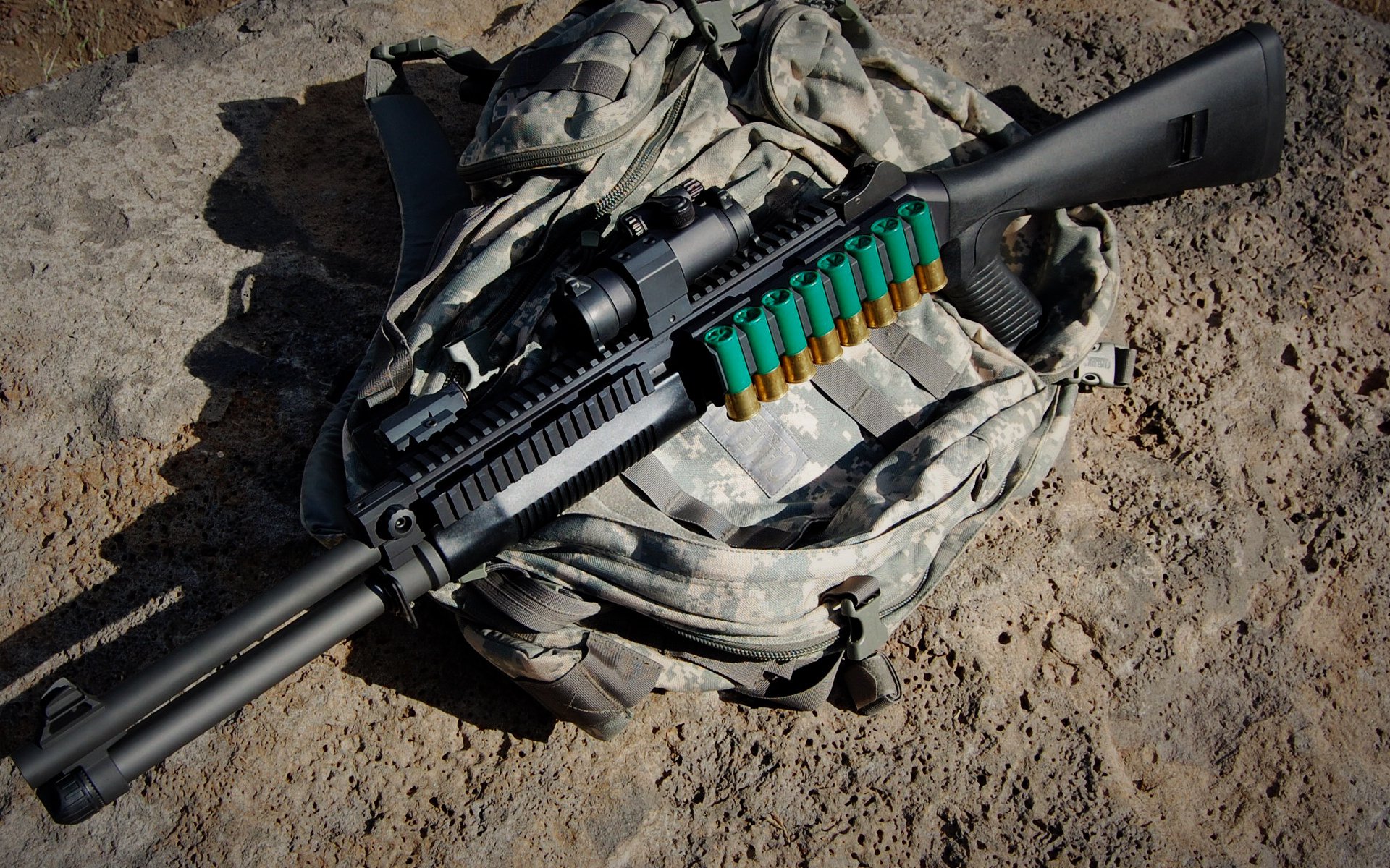 女足世界杯备战热烈，教练团队部署细致，女足世界杯队员