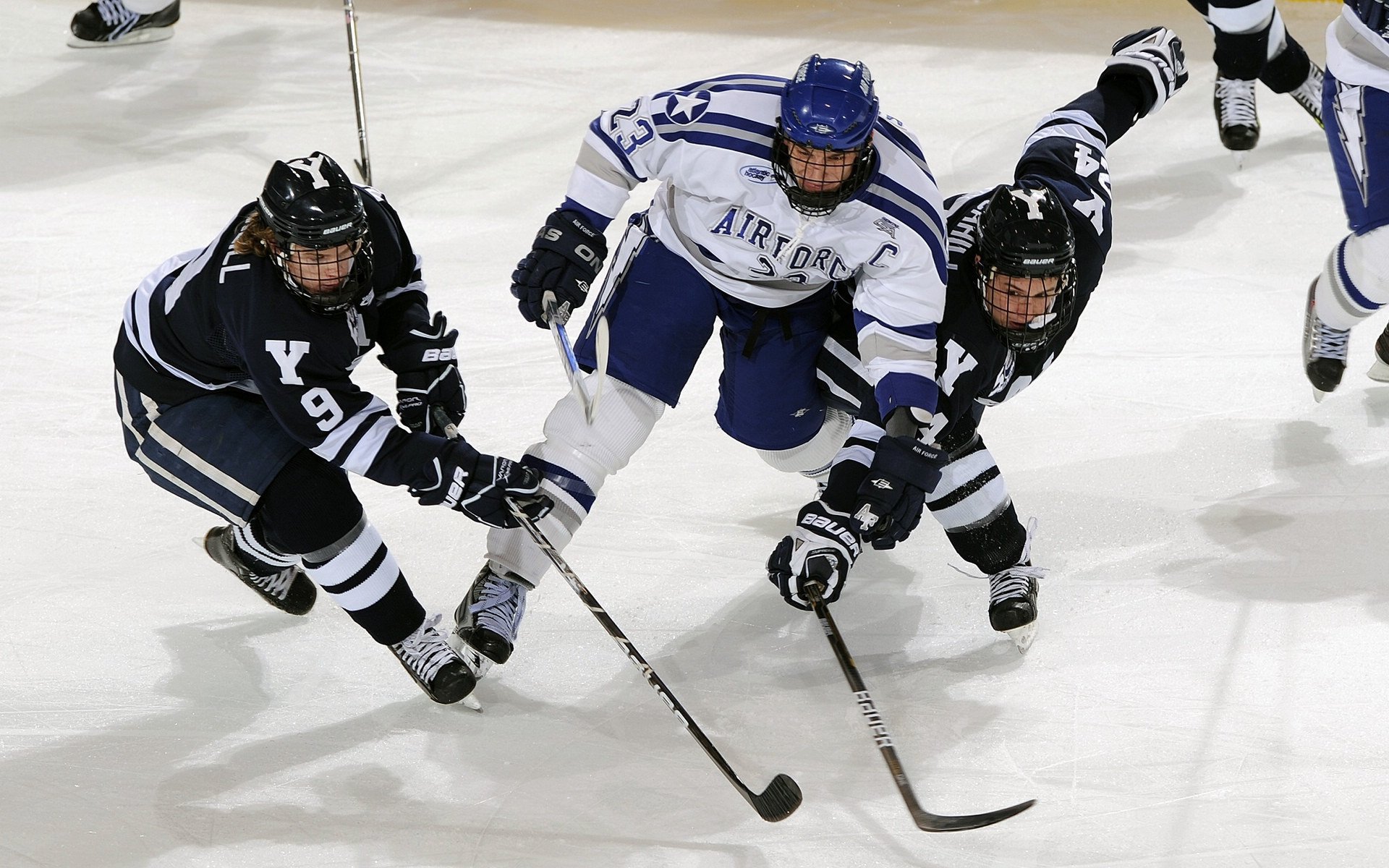 忠诚的胜利:球迷们见证了球队的胜利,最忠诚球迷