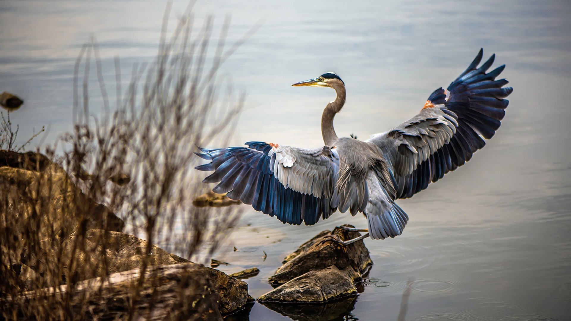 掘金险胜步行者，抢七大战中约基奇砍下47分，约基奇和中国
