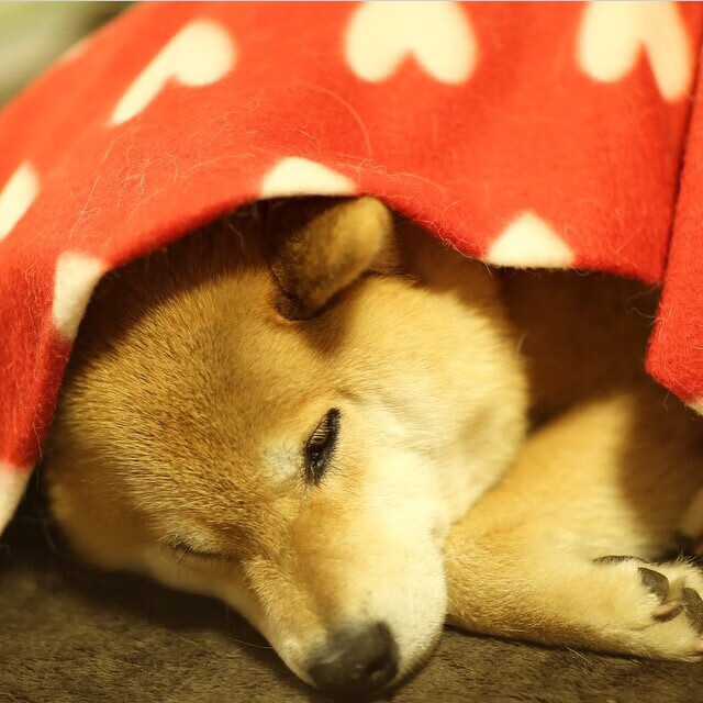 皇马客场逆转胜埃尔切，取得两连胜，皇马对埃尔切视频直播