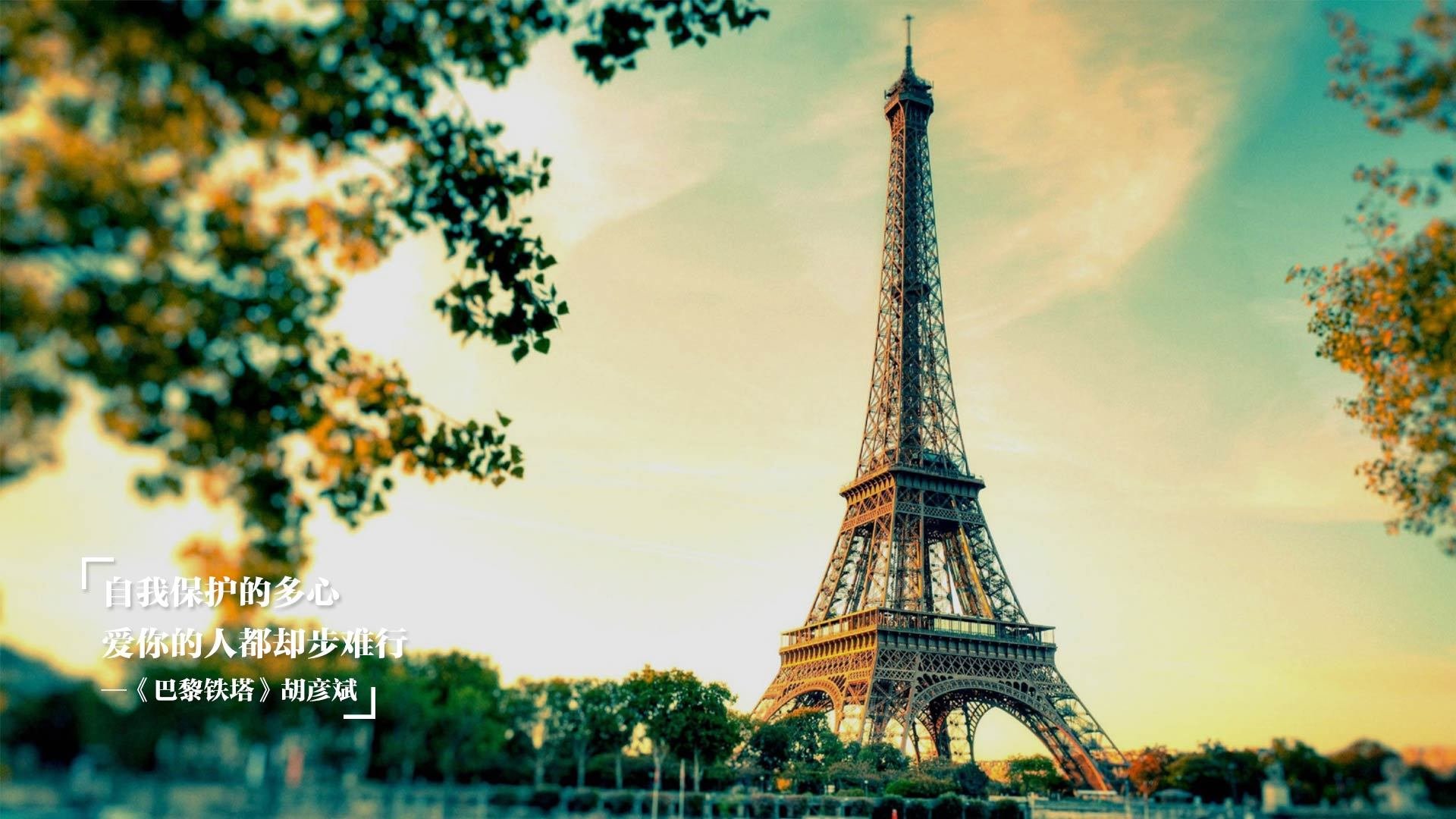 中国篮球联赛赛事运营管理模式研究，篮球赛事组织与管理