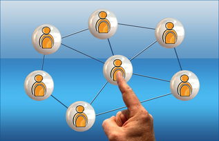 英超球员社交媒体互动提升粉丝忠诚度研究，英超球队球迷