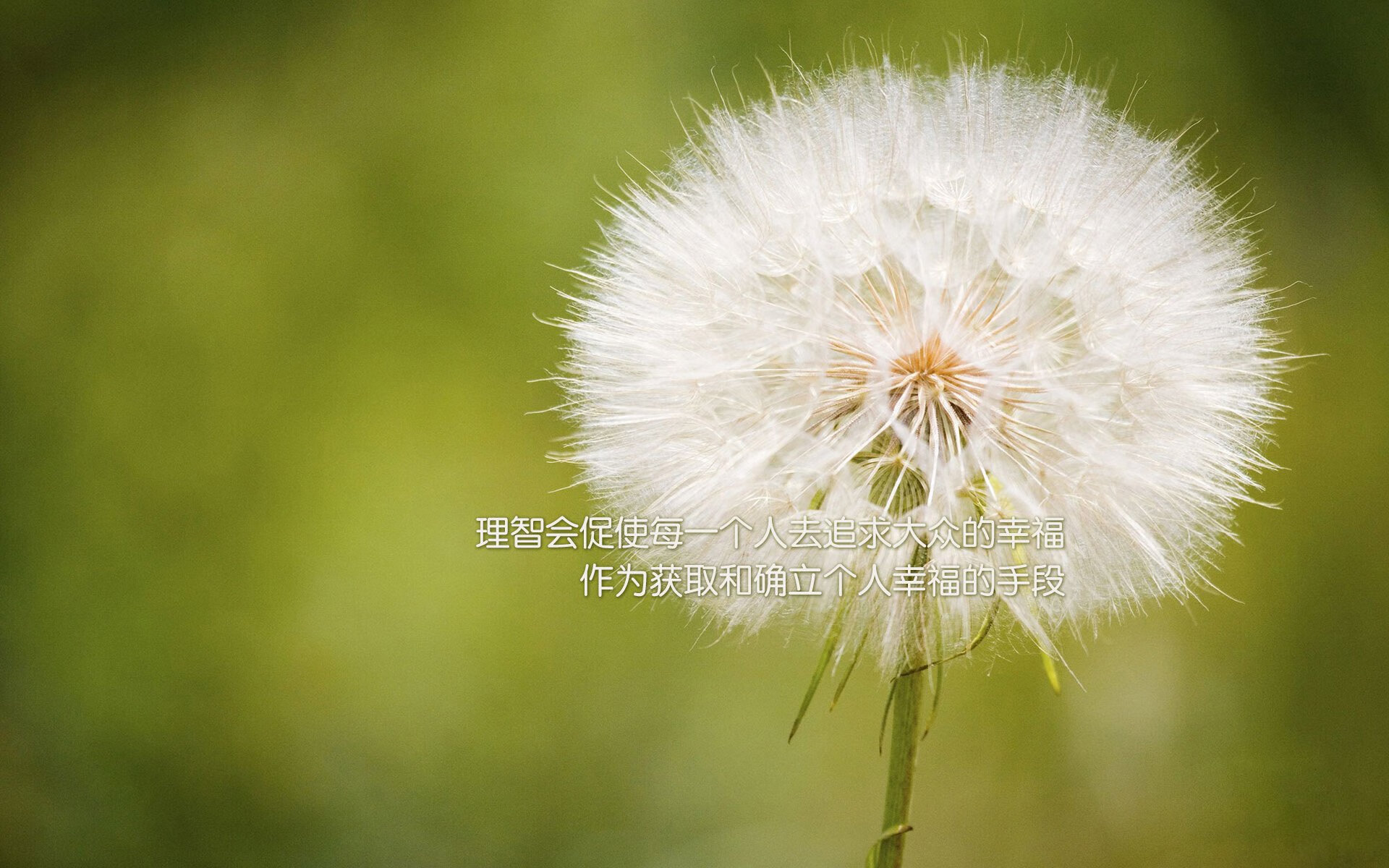 马拉松赛事结合夜跑元素提升参与体验,半夜跑马拉松