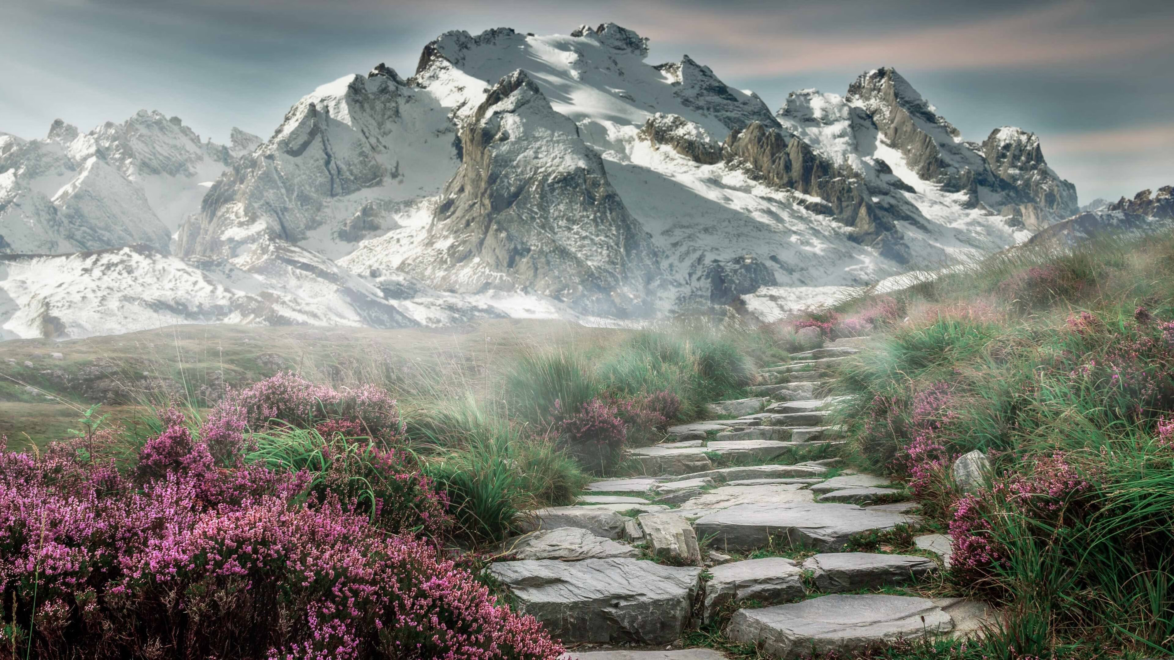 字母哥表示雄鹿要坚持高强度训练节奏,雄鹿字母哥由来