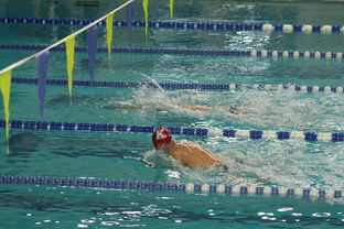 张雨霏自由泳赛段发力迅速，张雨霏自由泳实力