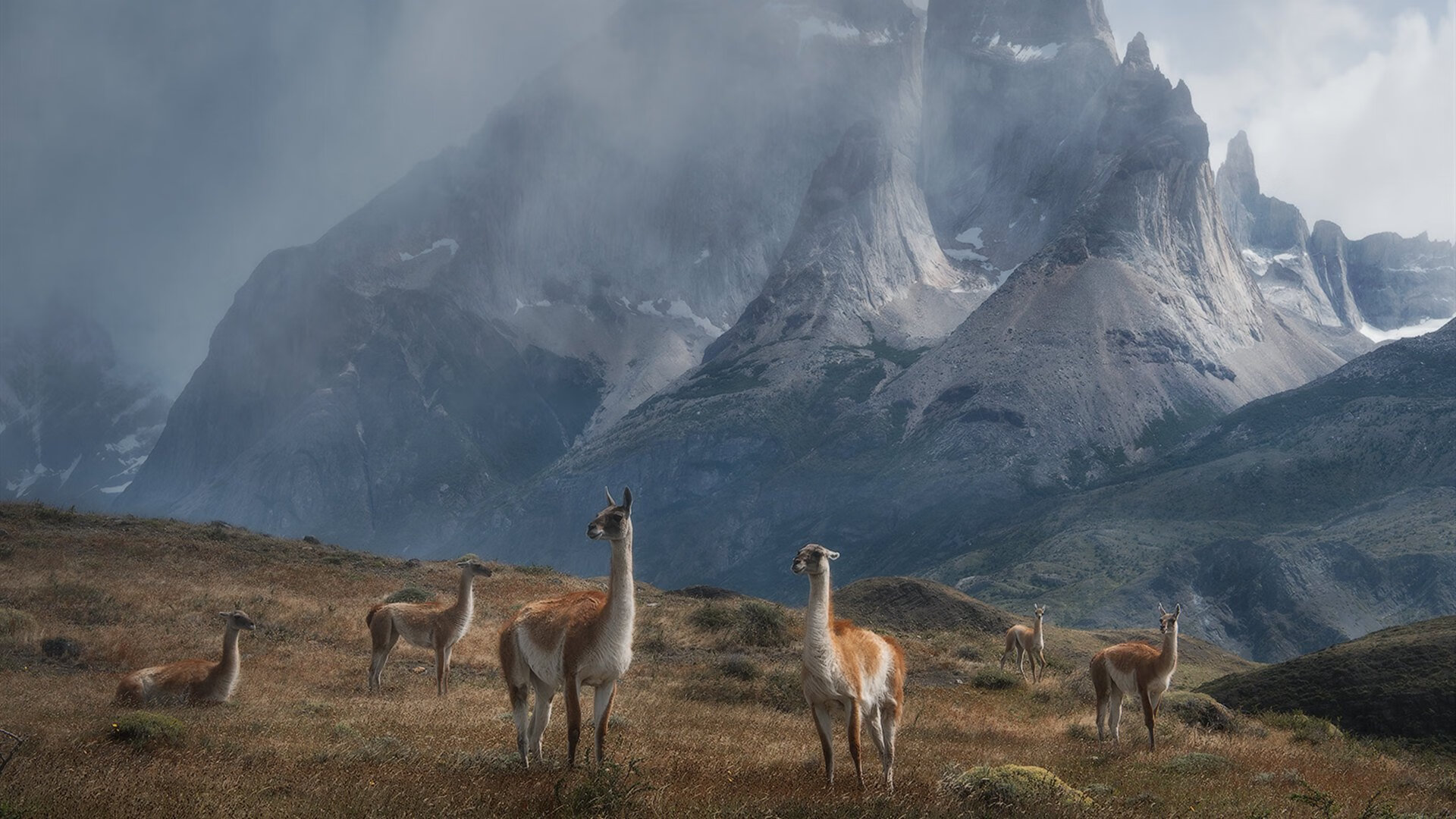 骑士赛后组织小型见面会球迷热情回应,骑士队price